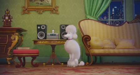 Тайная жизнь домашних животных (2016)