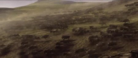 Тарзан. Легенда (2016)