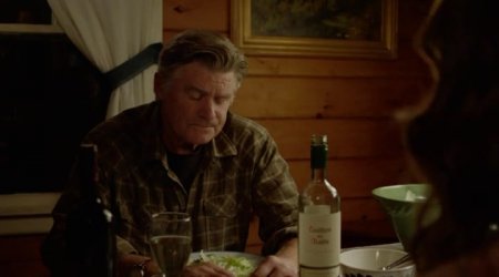 Конгрессмен (2016)