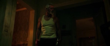 Не дыши (2016)