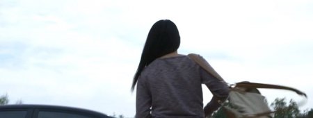 Очищение (2015)