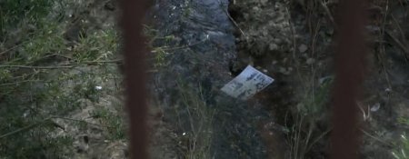 Очищение (2015)