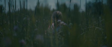 Прибытие (2016) Прибытие (2016)