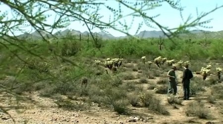 Инопланетный заговор (2016)