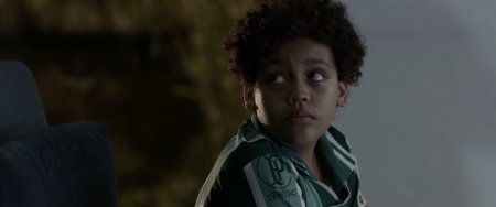 Собачий мир (2016)