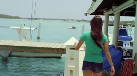 Акулосьминог против Китоволка (2015)