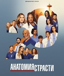 Фильм Анатомия страсти (20 сезон)