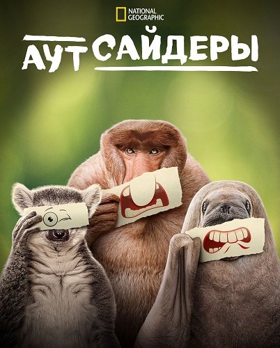 Фильм Аутсайдеры (1 сезон)