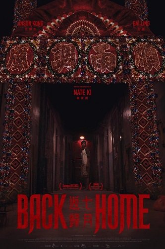 Назад домой (2023)