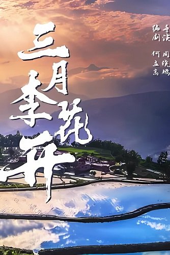 Слива цветёт в марте (2025)