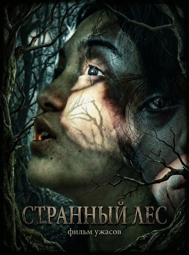 Фильм Странный лес (2025)